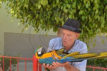 Espectáculo de aves exóticas de Paco Pluma en El Caracol (Foto Francisco Javier Santana)